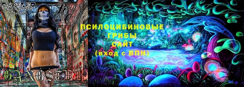 наркота  Соликамск  гидра   Псилоцибиновые грибы MAGIC MUSHROOMS 